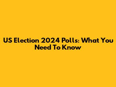 US Election 2024 Polls: What You Need To Know