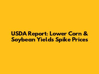 USDA Report: Lower Corn & Soybean Yields Spike Prices