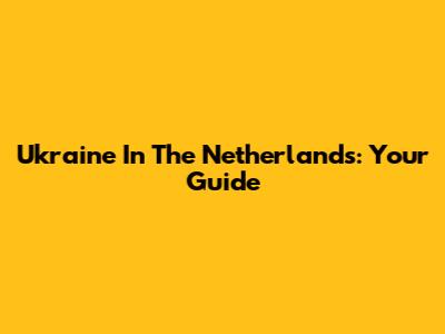 Ukraine In The Netherlands: Your Guide
