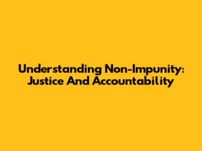Understanding Non-Impunity: Justice And Accountability
