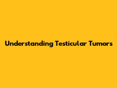 Understanding Testicular Tumors