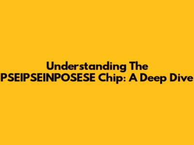Understanding The PSEIPSEINPOSESE Chip: A Deep Dive