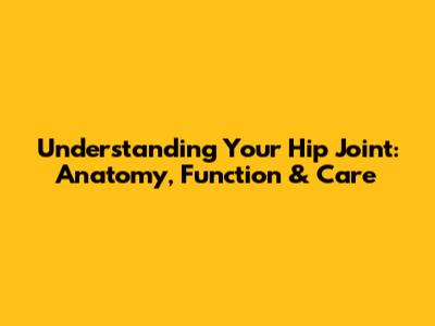 Understanding Your Hip Joint: Anatomy, Function & Care