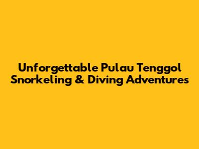 Unforgettable Pulau Tenggol Snorkeling & Diving Adventures