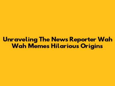 Unraveling The News Reporter Wah Wah Meme's Hilarious Origins