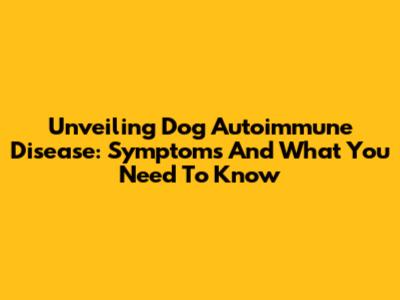 Unveiling Dog Autoimmune Disease: Symptoms And What You Need To Know