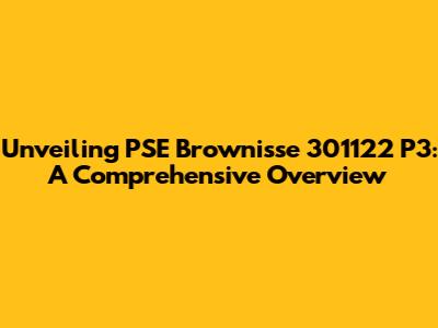 Unveiling PSE Brownisse 301122 P3: A Comprehensive Overview
