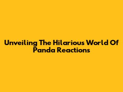 Unveiling The Hilarious World Of Panda Reactions