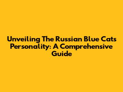 Unveiling The Russian Blue Cat's Personality: A Comprehensive Guide