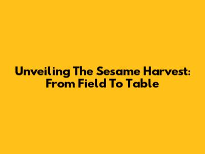 Unveiling The Sesame Harvest: From Field To Table