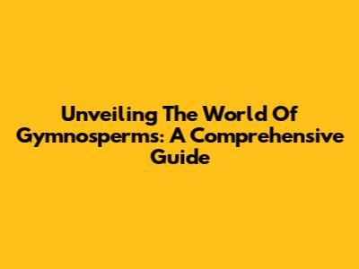 Unveiling The World Of Gymnosperms: A Comprehensive Guide