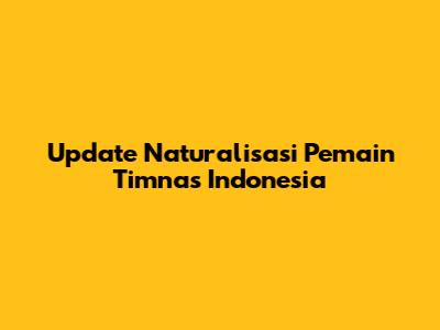 Update Naturalisasi Pemain Timnas Indonesia