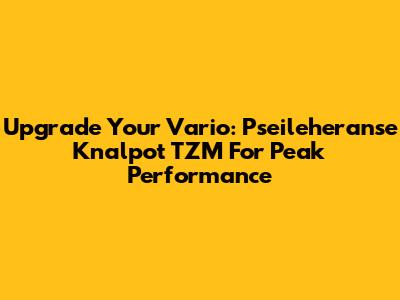 Upgrade Your Vario: Pseileheranse Knalpot TZM For Peak Performance