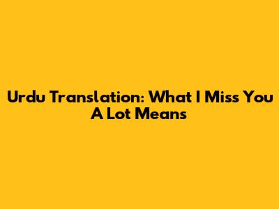 Urdu Translation: What "I Miss You A Lot" Means