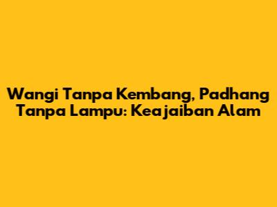 Wangi Tanpa Kembang, Padhang Tanpa Lampu: Keajaiban Alam