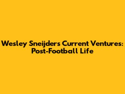 Wesley Sneijder's Current Ventures: Post-Football Life