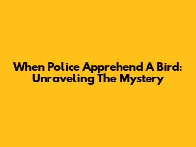 When Police Apprehend A Bird: Unraveling The Mystery