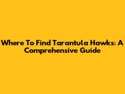 Where To Find Tarantula Hawks: A Comprehensive Guide