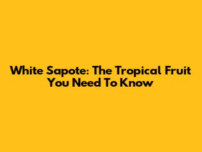 White Sapote: The Tropical Fruit You Need To Know