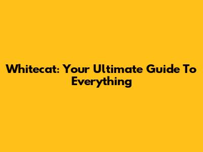 Whitecat: Your Ultimate Guide To Everything