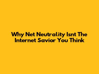 Why Net Neutrality Isn't The Internet Savior You Think