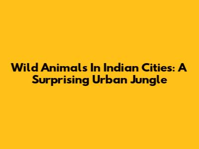 Wild Animals In Indian Cities: A Surprising Urban Jungle