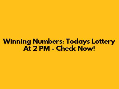 Winning Numbers: Today's Lottery At 2 PM - Check Now!
