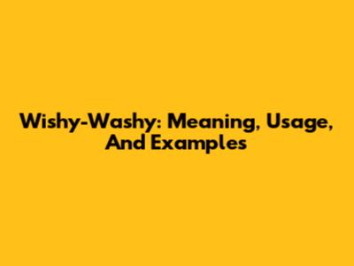 Wishy-Washy: Meaning, Usage, And Examples