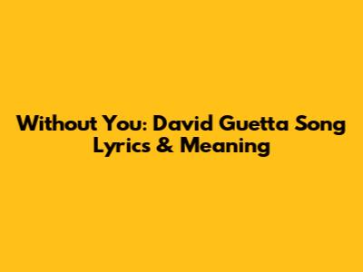 Without You: David Guetta Song Lyrics & Meaning