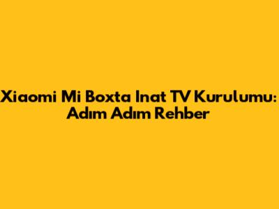 Xiaomi Mi Box'ta Inat TV Kurulumu: Adım Adım Rehber
