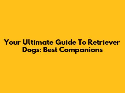 Your Ultimate Guide To Retriever Dogs: Best Companions