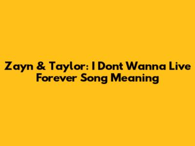 Zayn & Taylor: I Don't Wanna Live Forever Song Meaning