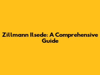 Zillmann Ilsede: A Comprehensive Guide