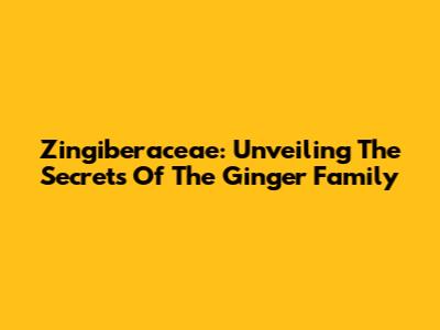 Zingiberaceae: Unveiling The Secrets Of The Ginger Family
