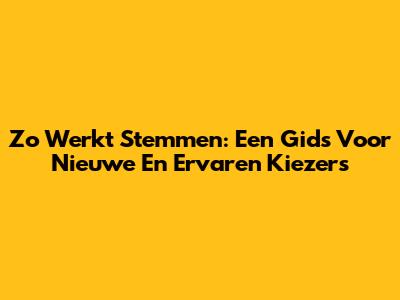 Zo Werkt Stemmen: Een Gids Voor Nieuwe En Ervaren Kiezers