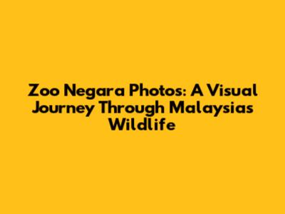 Zoo Negara Photos: A Visual Journey Through Malaysia's Wildlife